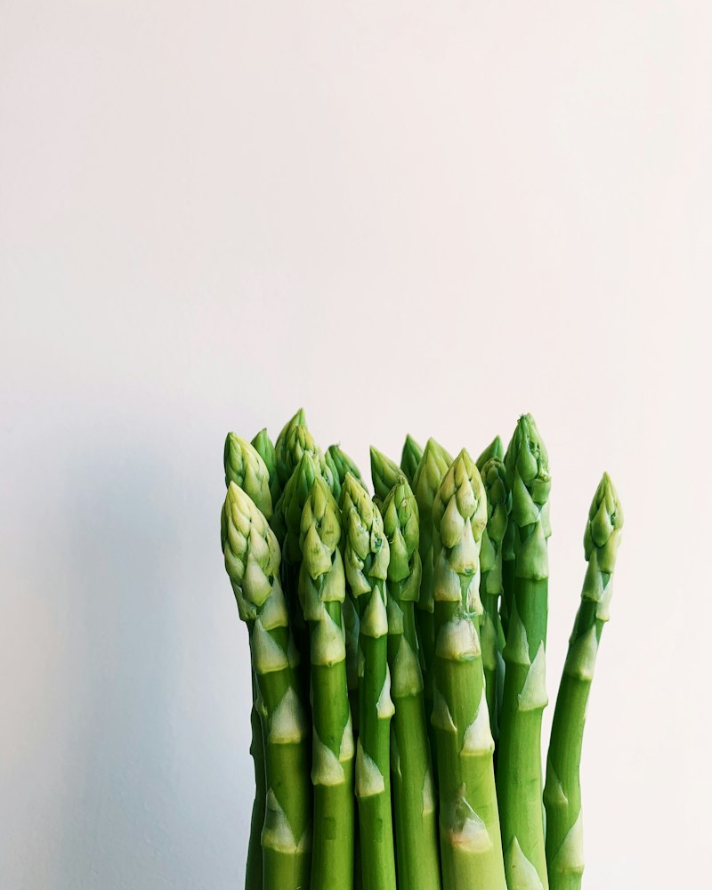 Asparagus hijau segar