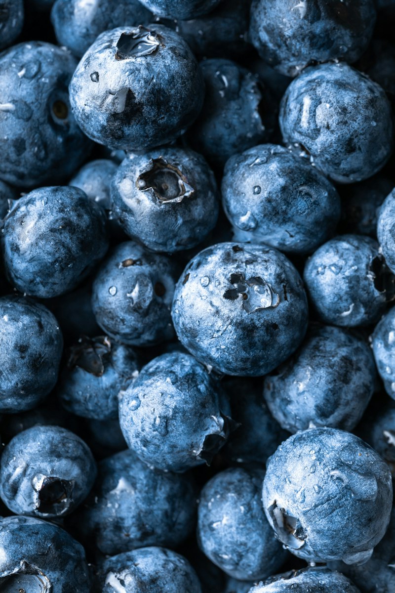 Blueberry segar bertumpuk