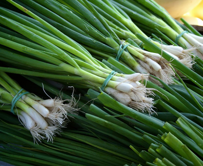 Ikat daun bawang segar