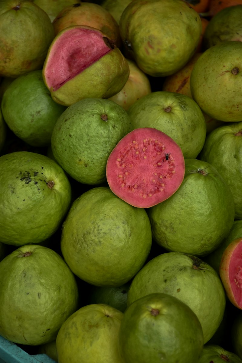 Jambu biji merah segar