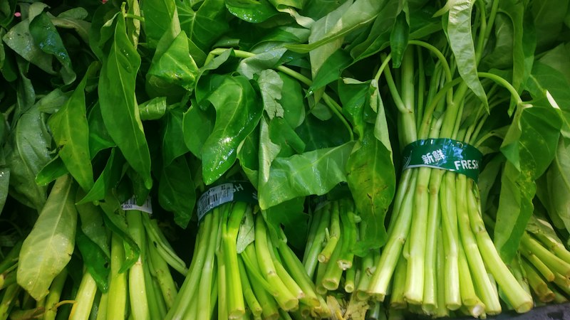 Ikat kangkung segar
