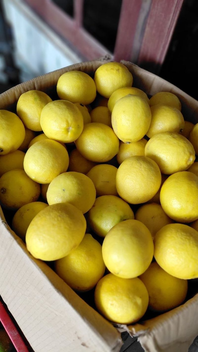 Dus lemon lokal kuning segar siap kirim