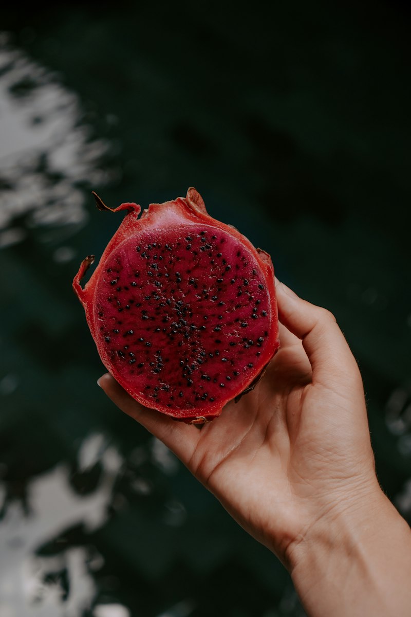 Buah naga merah dibelah di tangan