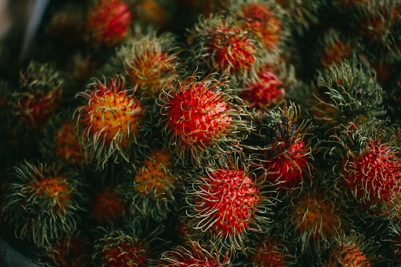 Rambutan merah bertumpuk